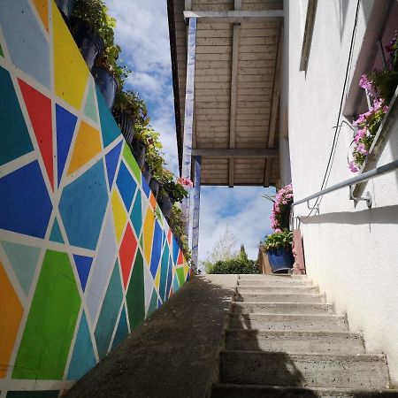 Seenah - Ihre Wohnung Am Bodensee / Untersee ไกน์โฮเฟน ภายนอก รูปภาพ