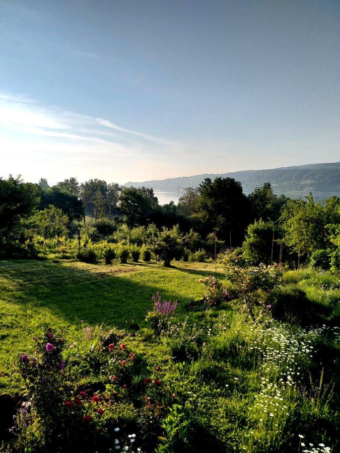 Seenah - Ihre Wohnung Am Bodensee / Untersee ไกน์โฮเฟน ภายนอก รูปภาพ